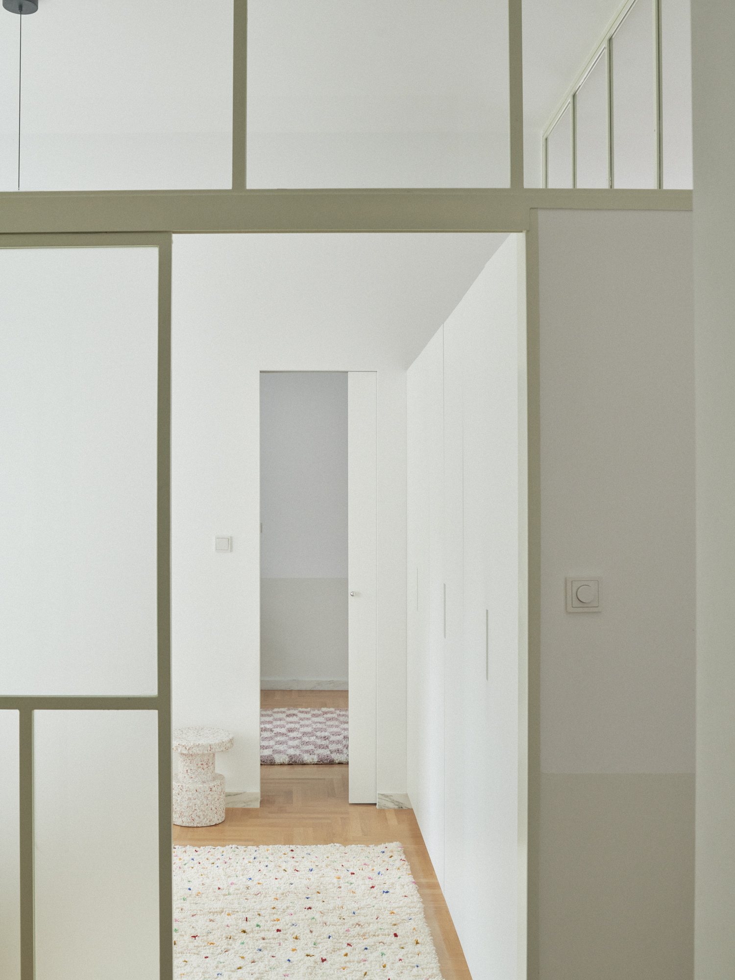 White hallway with glazed partitions in the E6 apartment